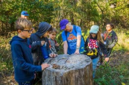 Kids at Outdoors at camp