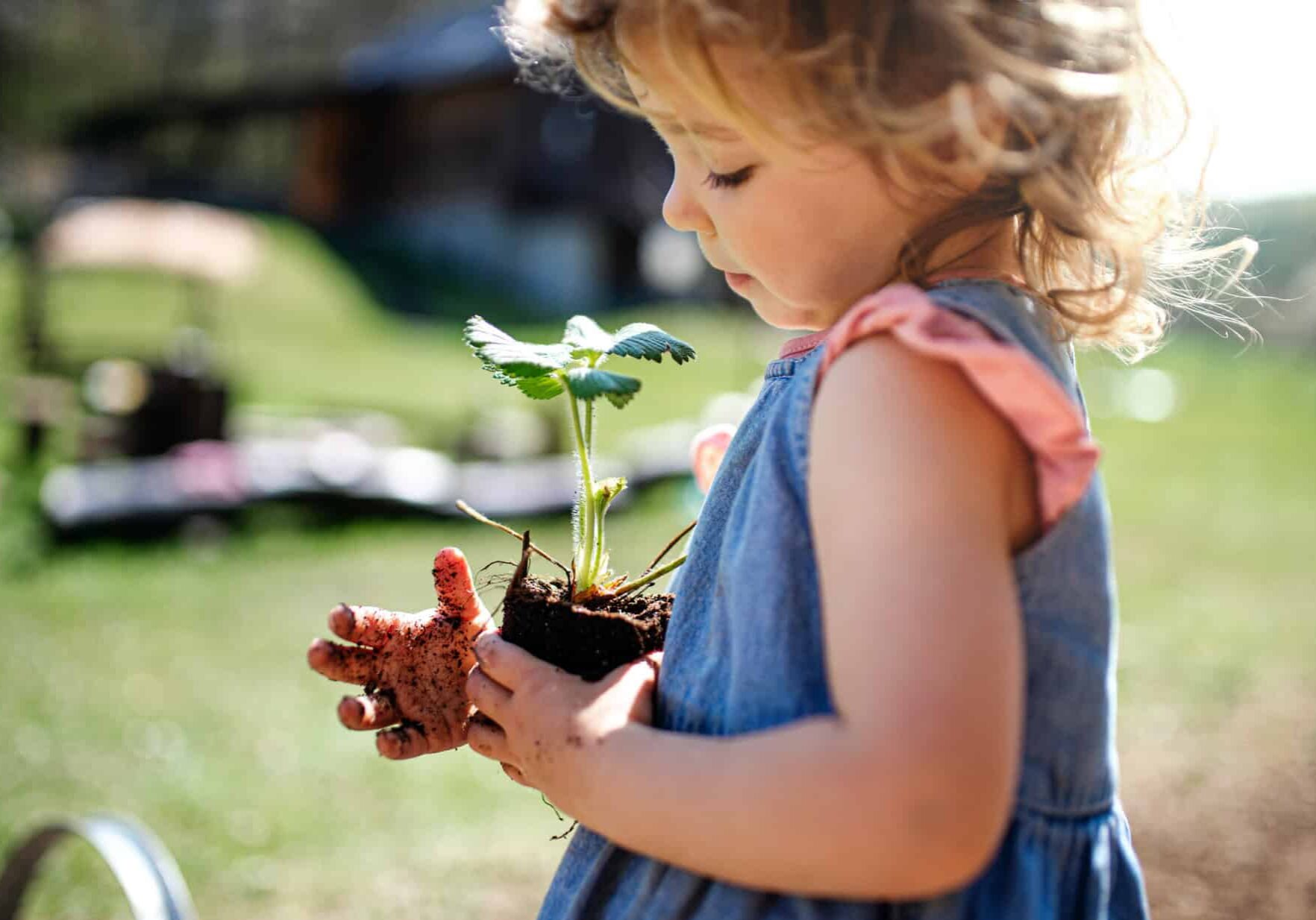 Small,Girl,With,Dirty,Hands,Outdoors,In,Garden,,Sustainable,Lifestyle